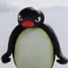 Pingüino Enojado 🐧😡 11