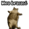 Mea brasas¿