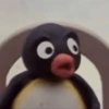 Pingüino Enojado 🐧😡 23