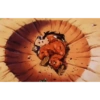 Memes random 3 21