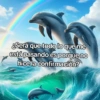 🦄🐬 Symphony Memes 2🐬🦄 18