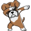 Dog salute 13