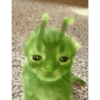 Memes - Gato Alien Verde 🟢🐈 9