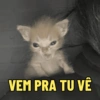 VEM PRA TU VÊ