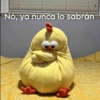 Caro pardiaco 27