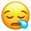 Emoji iphone 21