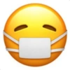 Emoji iphone 29