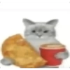 Gatos parte 1 18