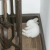 Bunnie 8