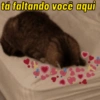tá faltando você aqui