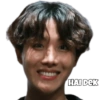 HAI DEK
