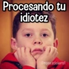 Procesando tu idiotez @rose.stickers1