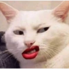 Meme ngakak(edisi kucing) 9