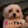 LG TV+?