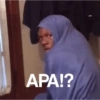 APA!?