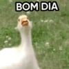 BOM DIA