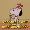 Snoopy pra qlqr situação 🤪❤️ 13