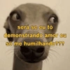 Doente de amor 😢💔 9