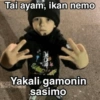 Tai ayam, ikan nemo Yakali gamonin sasimo