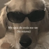 Memes variados 🤭🤩 6