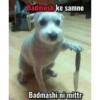 Badmosh ke samne Badmashi ni mittr
