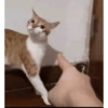 Nu vai tomando 7
