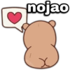 nojao geysioy