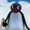 Pingüino Enojado 🐧😡 26