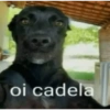 Aleatória 25