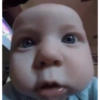 Bebês meme  5