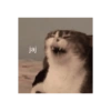 RANDOM CURSED SHITPOST MEME  11