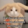 ikan hiu cuci piring yaudah sih berarti ikannya rajin