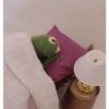 El de los Muppets 🤑🐸 8
