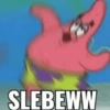 SLEBEWW