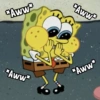 SPONGEBOB SQUAREPANTS! 15