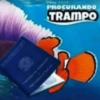 Carteira de trabalho 13