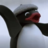 Pingüino Enojado 🐧😡 12