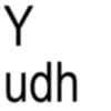 Y udh