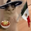 🇲🇽 Septiembre mes patrio✨💫 6