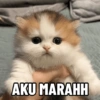 AKU MARAHH