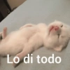 🛝🤸🏻 MEMES 2 🤸🏻‍♀️🛝 9