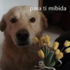 Não sei amar pouco 💔 8
