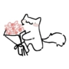 Gatos parte 1 9