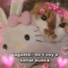 Se siente el airecito de amor💕 11