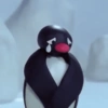 Pingüino Enojado 🐧😡 13