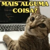 GATINHOS APOCALÍPTICOS 😸 13