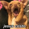 jesus cristo