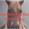Tristeza 22