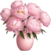 Emoji iPhone ios18 pink 22