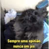Sempre uma opinião, nunca um pix